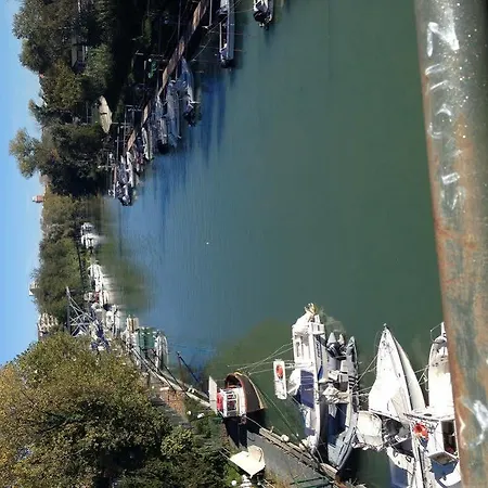 Moon River Πεσκάρα